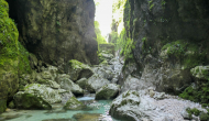 P1060507