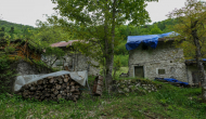 P1060536