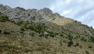 P1060551