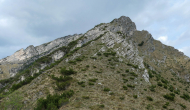 P1060552