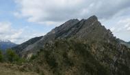 P1060575