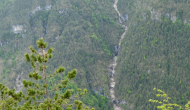 P1060585