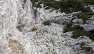 PXL_20240519_115556848