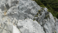 P1060745
