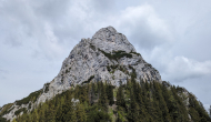 PXL_20240525_124302456