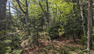 PXL_20240525_130828556