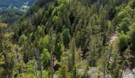 PXL_20240525_132120615