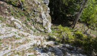 PXL_20240525_132509529
