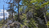 PXL_20240525_135141913
