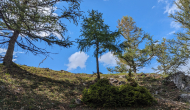 PXL_20240525_140051980