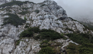 PXL_20240608_092303477