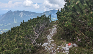 PXL_20240608_110314206