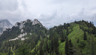 PXL_20240609_104749973