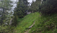PXL_20240609_110021468