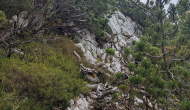 PXL_20240609_110452527