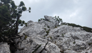 PXL_20240609_110613574