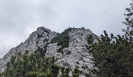PXL_20240609_111116661