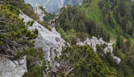 PXL_20240609_111358949