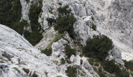 PXL_20240609_114641094