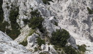 PXL_20240609_114702766