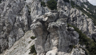 PXL_20240609_121411766