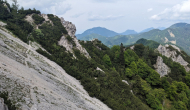 PXL_20240609_133236388