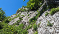 PXL_20240615_085027883