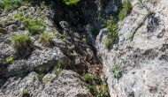 PXL_20240615_090005896