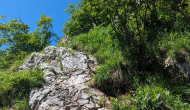 PXL_20240615_090253463