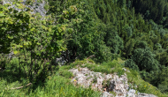 PXL_20240615_090410871