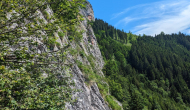 PXL_20240615_090413076