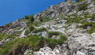 PXL_20240615_091237113