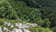 PXL_20240615_091421237