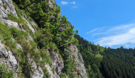 PXL_20240615_091423608