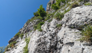 PXL_20240615_091430414