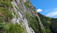 PXL_20240615_092218993