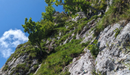 PXL_20240615_092225286