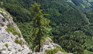 PXL_20240615_094056227