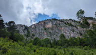 PXL_20240615_122604013