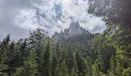 PXL_20240622_095251586