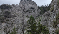 PXL_20240622_101902869
