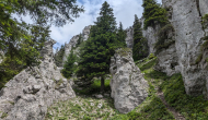 PXL_20240622_103612658