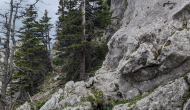 PXL_20240622_103932258