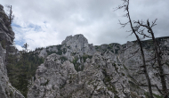 PXL_20240622_104043419