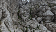 PXL_20240622_104927031