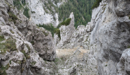 PXL_20240622_105134398