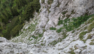 PXL_20240622_120549851