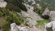 PXL_20240622_121553666