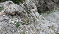 PXL_20240622_131842150