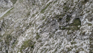 PXL_20240622_133114595